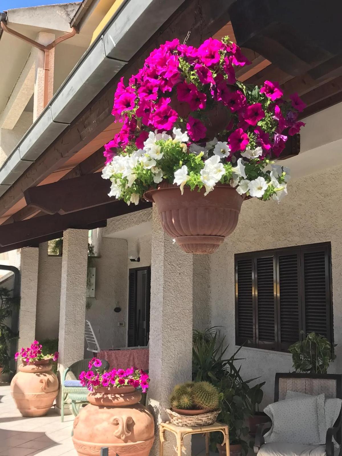 Hotel B&B Rispescia Grosseto Bagian luar foto