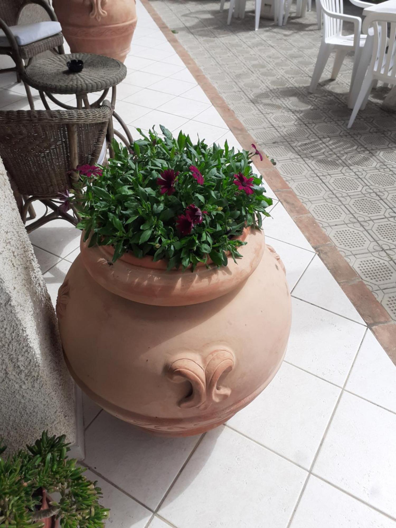 Hotel B&B Rispescia Grosseto Bagian luar foto