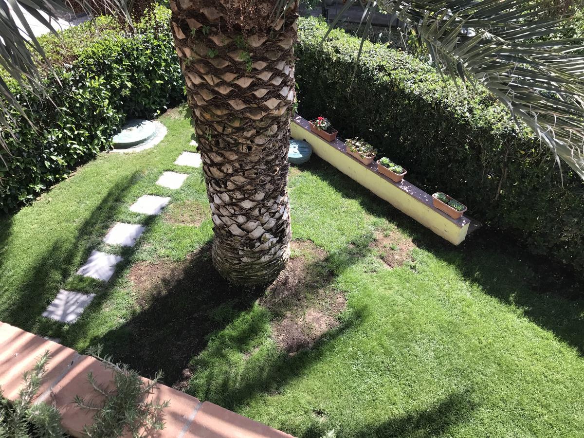 Hotel B&B Rispescia Grosseto Bagian luar foto