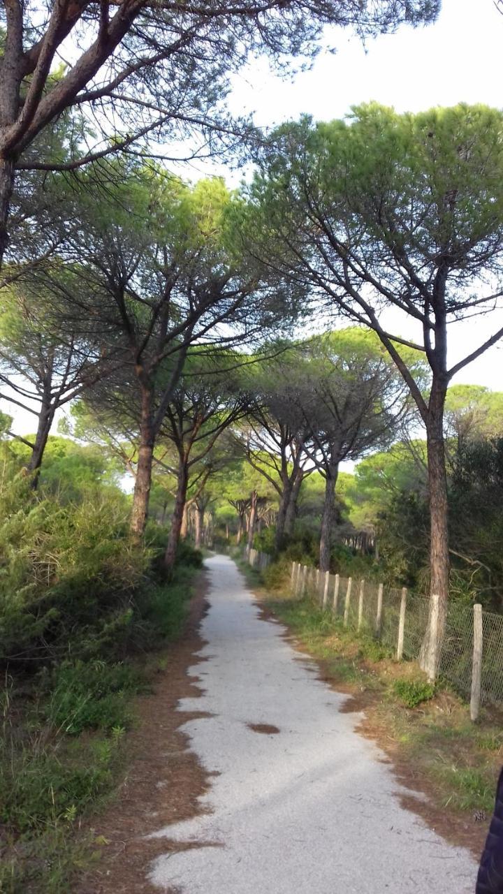 Hotel B&B Rispescia Grosseto Bagian luar foto